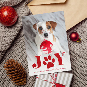 Cartes Pour Fêtes Annuelles Paws Pet Photo Holiday Card
