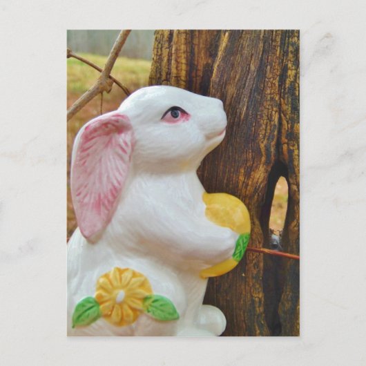 Cartes Pour Fêtes Annuelles Pays Lapin de Pâques (Devant)