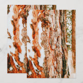 Cartes Pour Fêtes Annuelles Paysage d'hiver à Bend - Oregon (Devant / Derrière)