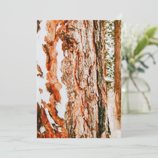 Cartes Pour Fêtes Annuelles Paysage d'hiver à Bend - Oregon (Debout devant)