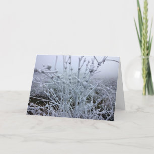 Cartes Pour Fêtes Annuelles Paysage hivernal de plantes givrés