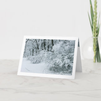 Cartes Pour Fêtes Annuelles Paysage hivernal - Feuillage enneigé