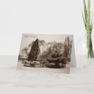 Cartes Pour Fêtes Annuelles paysage neige parc arbres paysage noël