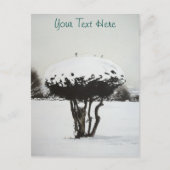 Cartes Pour Fêtes Annuelles paysage saisonnier neige scène à noël (Devant)