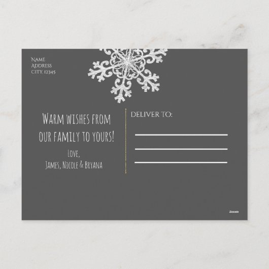 Cartes Pour Fêtes Annuelles Peace Joer Cheer Silver Snowflake Holiday Photo (Dos)