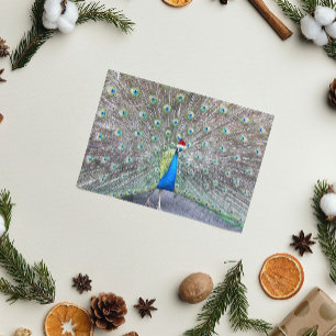 Cartes Pour Fêtes Annuelles Peacock Portant Red Père Noël Casquette drôle