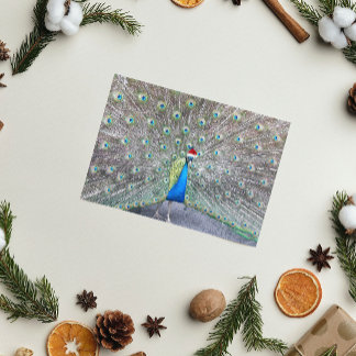 Cartes Pour Fêtes Annuelles Peacock Portant Red Père Noël Casquette drôle
