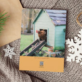 Cartes Pour Fêtes Annuelles Peck Halls Drôle Noël de poulet