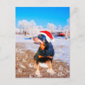Cartes Pour Fêtes Annuelles Peinture de Noël de chien Rottweiler (Devant)