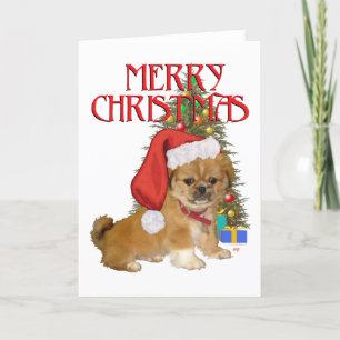 Cartes Pour Fêtes Annuelles Pekingese Pup Premier Noël