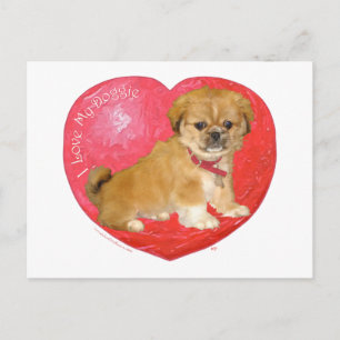 Cartes Pour Fêtes Annuelles Pekingese / Shih Tzu Mix Valentine's Day