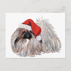 Cartes Pour Fêtes Annuelles Pékinois à Noël