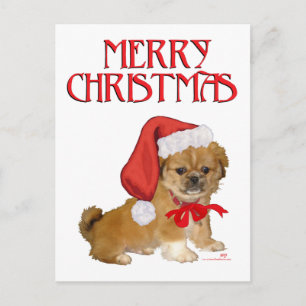 Cartes Pour Fêtes Annuelles Pékinois Noël