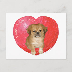 Cartes Pour Fêtes Annuelles Pékinois / Shih Tzu Saint-Valentin