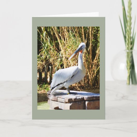 Cartes Pour Fêtes Annuelles Pélican (Devant)