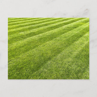 Cartes Pour Fêtes Annuelles Pelouse rayée Abstraite