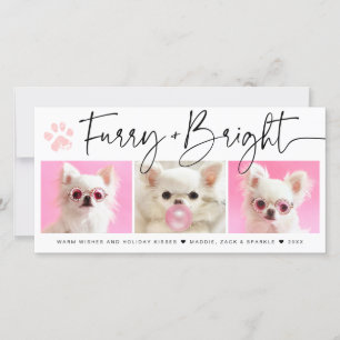Cartes Pour Fêtes Annuelles Pelucheux et Lumineux   Collage photo pour animaux