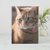 Cartes Pour Fêtes Annuelles Penny pensive (Debout devant)