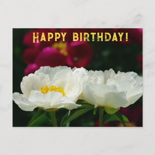 Cartes Pour Fêtes Annuelles Peony/Flower Magic/Fleur blanche/Joyeux anniversai (Devant)