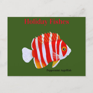 Cartes Pour Fêtes Annuelles Peppermint Angelfish