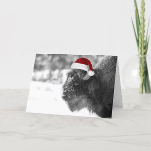 Cartes Pour Fêtes Annuelles Père Bison