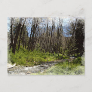 Cartes Pour Fêtes Annuelles Père Noël Ana en sept chênes