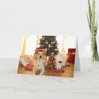 Cartes Pour Fêtes Annuelles Père Noël & Animaux