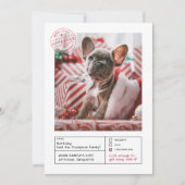 Cartes Pour Fêtes Annuelles Père Noël Approuvée Naughty ou Nice (Devant)