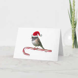 Cartes Pour Fêtes Annuelles Père Noël Bird Christmas Card