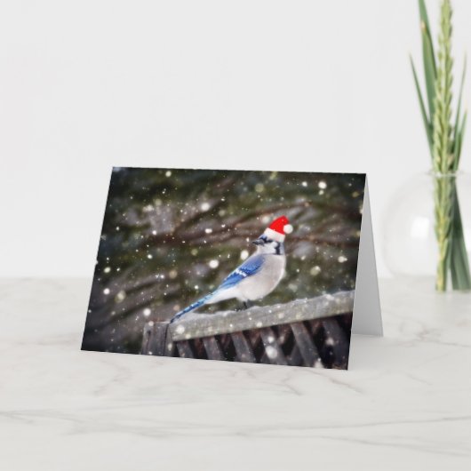 Cartes Pour Fêtes Annuelles Père Noël Blue Jay (Devant)