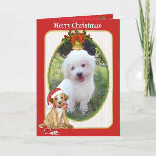 Cartes Pour Fêtes Annuelles Père Noël Chien Animaux de Compagnie