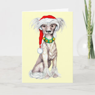Cartes Pour Fêtes Annuelles Père Noël chinois arrêté