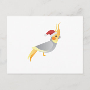 Cartes Pour Fêtes Annuelles père Noël Cockateil Drôle Noël