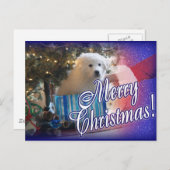 CARTES POUR FÊTES ANNUELLES PÈRE NOËL DE GRANDS PYRÉNÉES CHRISTMAS PUPPER CADE (Devant / Derrière)