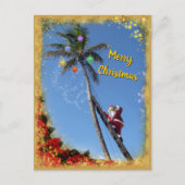 Cartes Pour Fêtes Annuelles père Noël décorant Palm Tree (Devant)