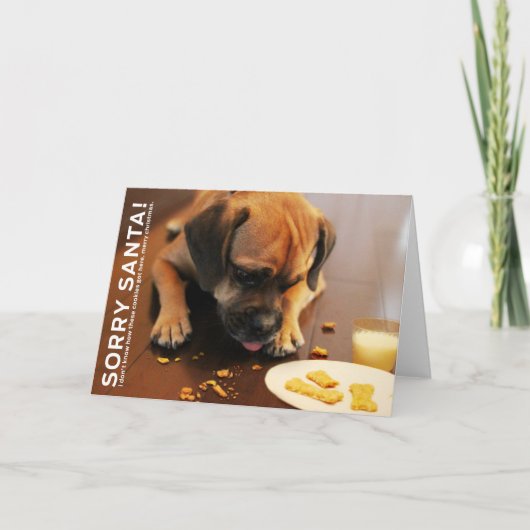 Cartes Pour Fêtes Annuelles Père Noël désolé (Devant)