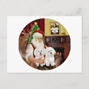 Cartes Pour Fêtes Annuelles père Noël Deux Bichon Frise