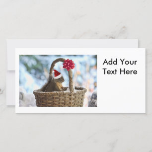 Cartes Pour Fêtes Annuelles Père Noël écureuil en neige