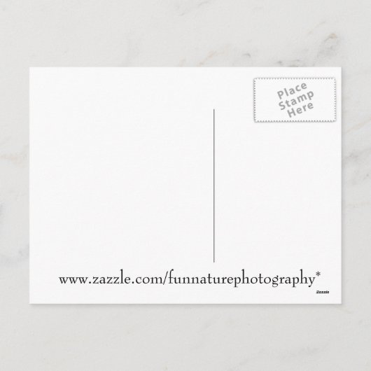 Cartes Pour Fêtes Annuelles Père Noël écureuil en neige (Dos)