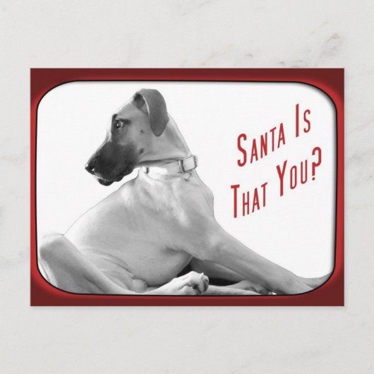 Cartes Pour Fêtes Annuelles Père Noël est toi (Devant)