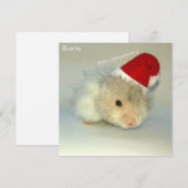 Cartes Pour Fêtes Annuelles Père Noël hamster ! (Devant / Derrière)
