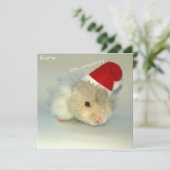 Cartes Pour Fêtes Annuelles Père Noël hamster ! (Debout devant)
