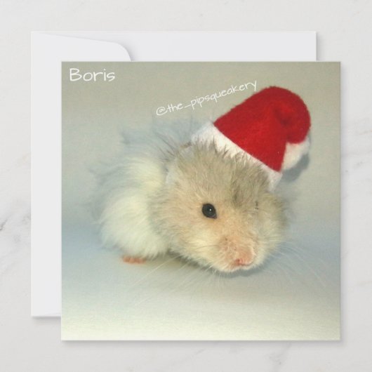 Cartes Pour Fêtes Annuelles Père Noël hamster ! (Devant)