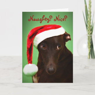 Cartes Pour Fêtes Annuelles Père Noël Jack