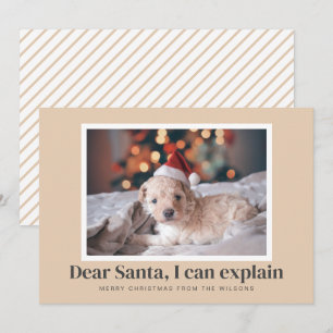 Cartes Pour Fêtes Annuelles Père Noël, Je Peux Expliquer Funny Photo Animaux