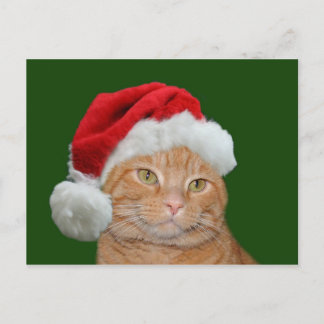 Cartes Pour Fêtes Annuelles Père Noël Paws