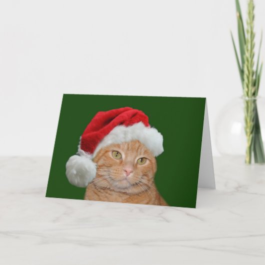 Cartes Pour Fêtes Annuelles Père Noël Paws (Devant)