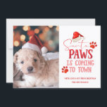 Cartes Pour Fêtes Annuelles Père Noël Paws arrive en ville Photo de Noël<br><div class="desc">Père Noël Paws arrive à la ville de Noël Photographie & Typographie Avec Citation Fun Holiday, Empreintes de pattes de Santa Hat, Chien ou Chat, et texte de script tendance en rouge vif. Une citation drôle & mignonne pour les amateurs de petits animaux de Noël, les vacances, et la saison...</div>