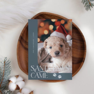 Cartes Pour Fêtes Annuelles Père Noël Paws Came Chien Photo Ardoise Bleu Noël