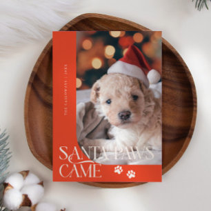 Cartes Pour Fêtes Annuelles Père Noël Paws Came Chien Photo Rouge Noël